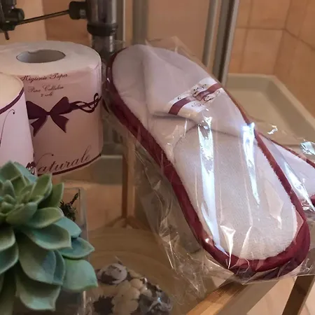Luxury Venetian 招待所 威尼斯